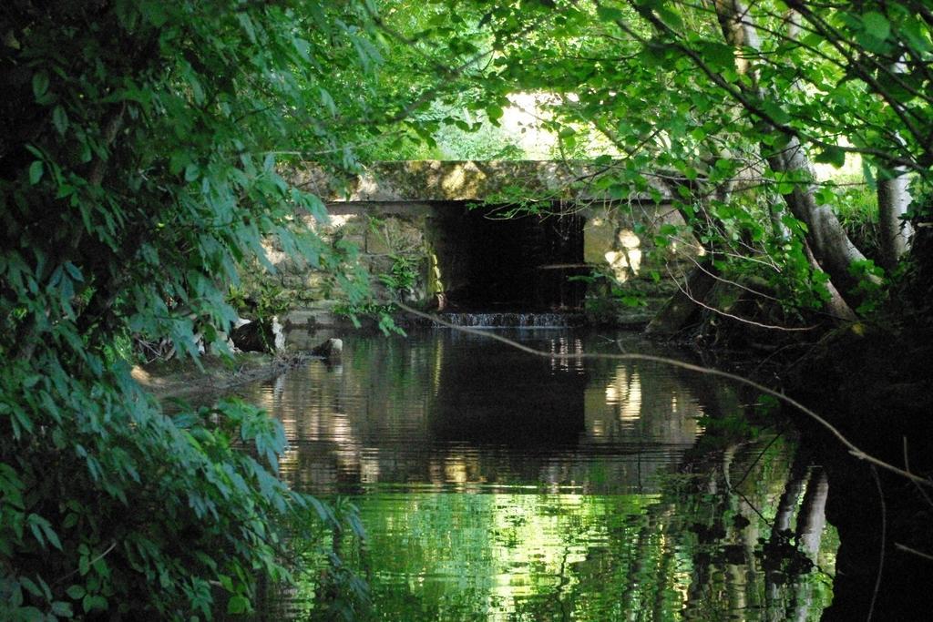 Moulin De Coupigny Villa Fontenille-Saint-Martin-d'Entraigues Ruang foto
